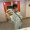 Darrel