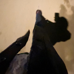 saja