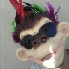 Rodrigo J. V