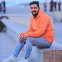 طه محمود العدوي