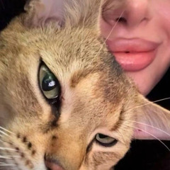 𝟑𝐰𝐚𝐬𝐡 💫