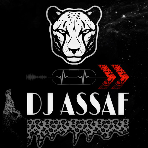 DJ Assaf’s avatar