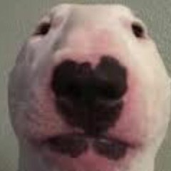 brendandamianboone9