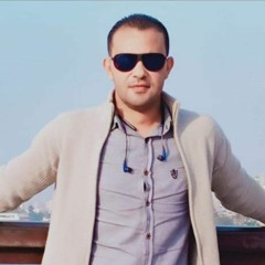 Mohamed Zidan