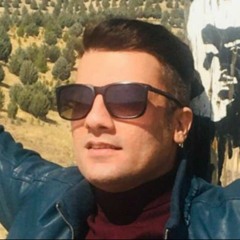 Alireza Maleki