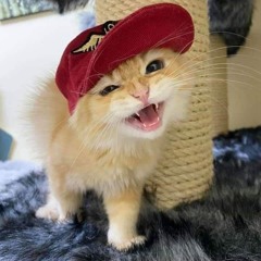MK
