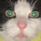 moggy