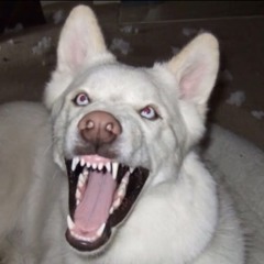 666