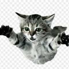 speed