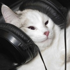 em đã biết remix