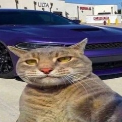 ß