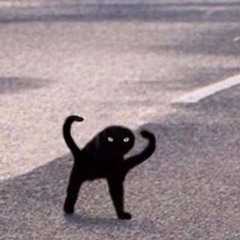 ginnneko