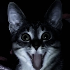 bimbbb