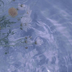 moonlight shinning on water