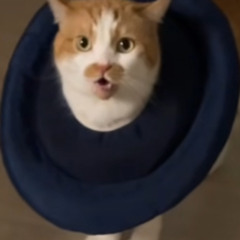 우웅