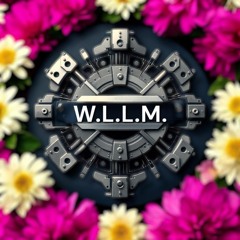 WLLM.music©️