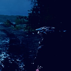 ✰ Hex ✰ (@hexdatbirth)