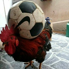 Vendimeucelta
