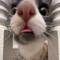 keir_07