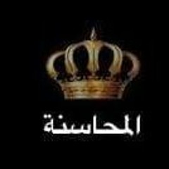 Mahmoud Abo Gendy