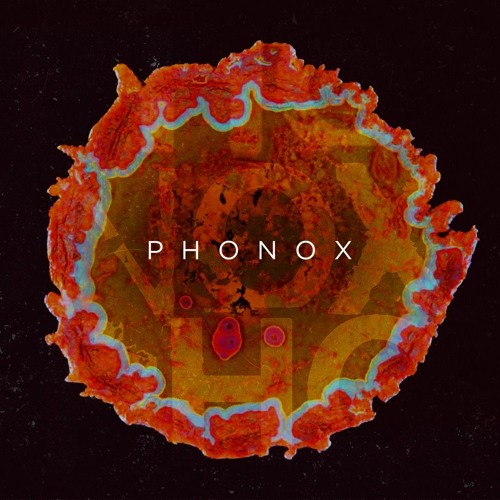 Phonox’s avatar