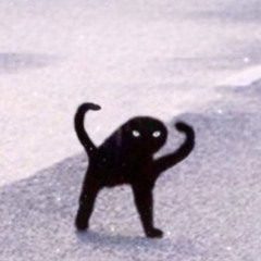 scaredkitkat