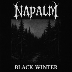 Napalm_band