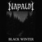 Napalm_band