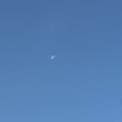 Mưa