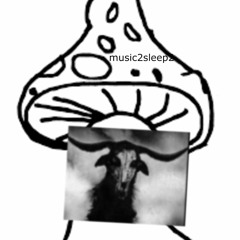 music2sleep2