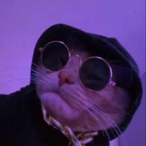 Alva CAT’s avatar