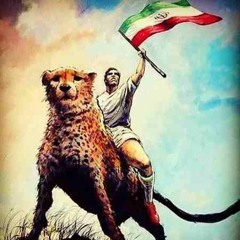 amirmohammad mohammadi