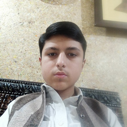 waqas safi’s avatar