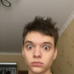 v1ksi666