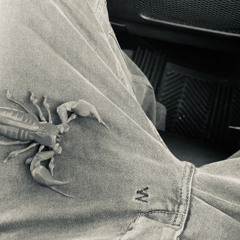 tdgdamian