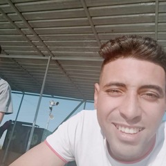 Hecham A. Mohamed