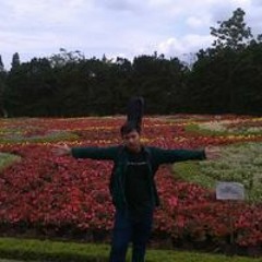 Syahrial Miraza