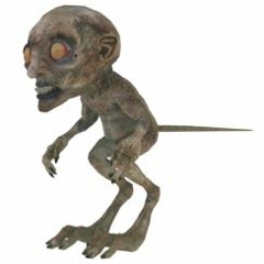 chiraqi survivor