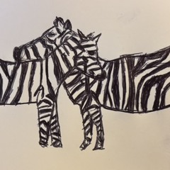 Two Zebras