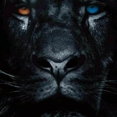 احمد سيد الفايدي