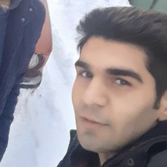 Reza Vahedi