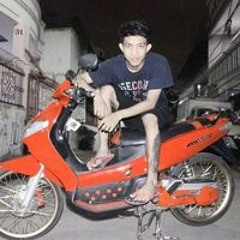 TheFree