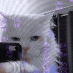 aesthetic_lorenn