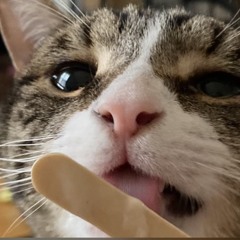 bunsen burner account