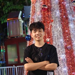Thong Minh Vo