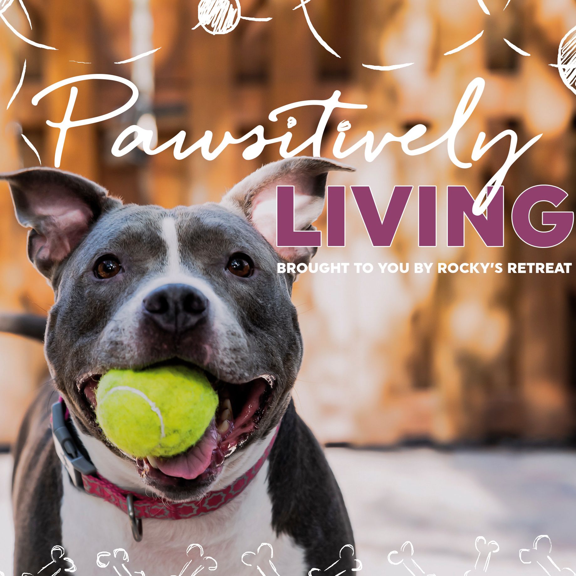 Pawsitively Living