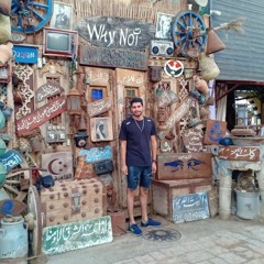 Ebrahim EL Sharkawy