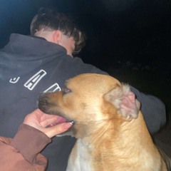 Bazsi