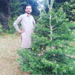 Ulfat Riaz