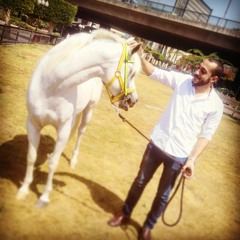 Basem Abd El Naser
